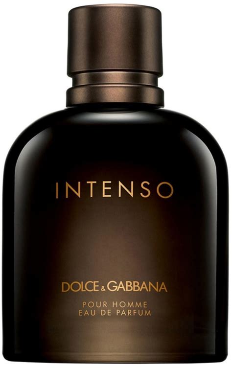 dolce gabbana online store uae|dolce gabbana buy online.